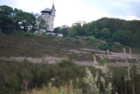 palthetoren nabij haarle